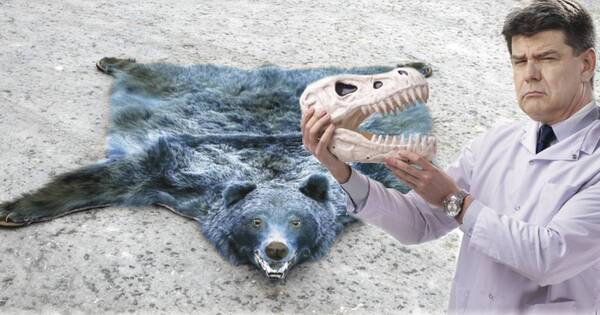 La Nación / El taxidermista Efraín Alegre
