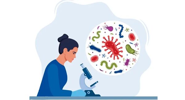 Eubacterias y arqueobacterias - Escolar - ABC Color