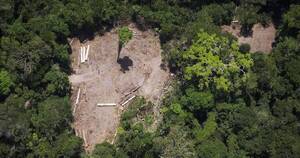 La Nación / Lula lanza nuevo plan contra la deforestación en la Amazonía