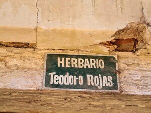 Herbario Teodoro Rojas: pequeña intervención tras pedido de auxilio por estado de abandono - Nacionales - ABC Color