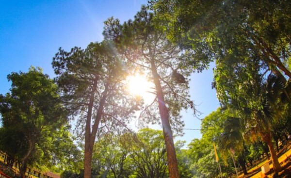 Pronostican jornada cálida con cielo escasamente nublado y sin lluvias