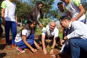 Intendente de Hernandarias incentiva la reforestación en Día Mundial de Medio Ambiente | DIARIO PRIMERA PLANA