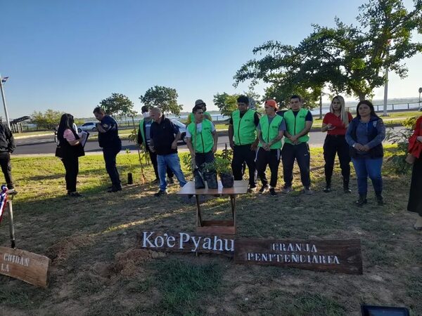 Minga ambiental en la Costanera de Asunción, a cargo de reclusos - Nacionales - ABC Color