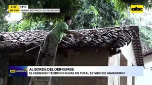 Video: El Herbario Teodoro Rojas en total estado de abandono - ABC Noticias - ABC Color