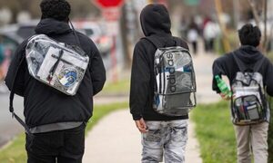 LA SOLUCIÓN NO ESTÁ EN LAS MOCHILAS TRANSPARENTES NI EN LOS DETECTORES DE METALES - La Voz del Norte
