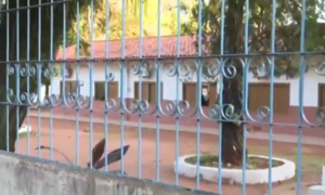 Violencia en Colegios: ¿Qué pasa con los niños y adolescentes? - SNT