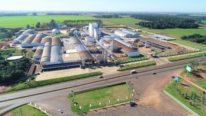 US$ 1.000 millones al año mueve en Paraguay la industria láctea | Economía y Finanzas | 5Días