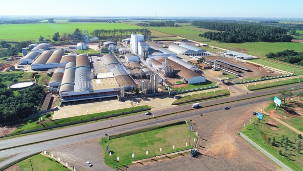 US$ 1.000 millones al año mueve en Paraguay la industria láctea | Economía y Finanzas | 5Días