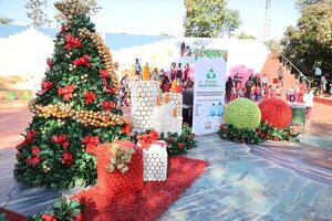 Municipalidad de CDE lanza Navidad Sustentable 2023 - La Clave