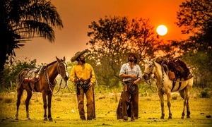 La salvaje región donde fue filmada “Pantanal” | Telefuturo