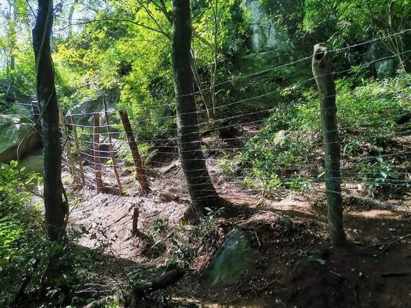 Acahay: cercan con alambre Cerro Verá y no admiten ingreso de turistas - Nacionales - ABC Color