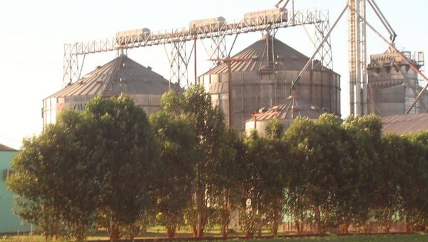 Buena producción alienta a nuevas inversiones en la agroindustria