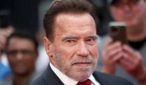 Arnold Schwarzenegger acepta que toqueteó mujeres y se disculpa ¡20 años después!