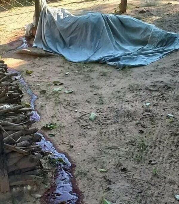 En disputa familiar, mató a su sobrino y luego se fue al cielo con él