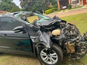 Denuncian que dueños de vaca que causó accidente faenaron el animal para borrar evidencias - Nacionales - ABC Color