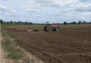 Comunidad indígena del Chaco avanza en su primera siembra de cáñamo industrial no psicoactivo