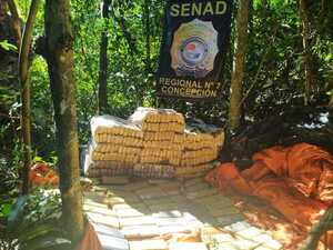 Hallan marihuana en una estancia de Azote´y