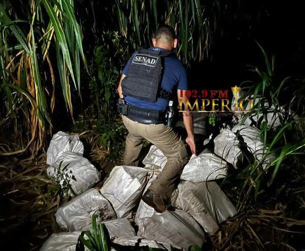 Desconocidos huyen de la Senad y abandonan bolsas cargadas con 600 kilos de marihuana - Radio Imperio