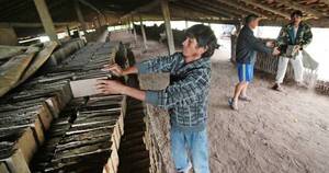 La Nación / Para reajuste salarial se tendrá en cuenta inflación interanual de 5,1 %