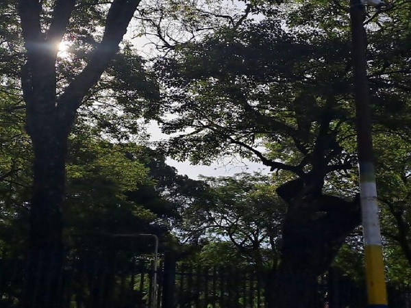 Hoy miércoles siguen las temperaturas altas - La Tribuna