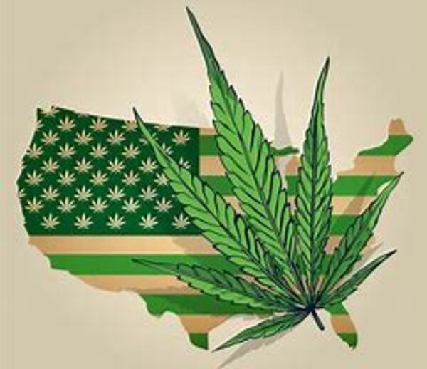 Finding the Best Marijuana Legalization
