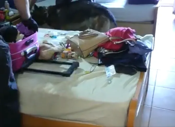 Policía libera a paraguayas que eran obligadas a prostituirse en España - Noticiero Paraguay