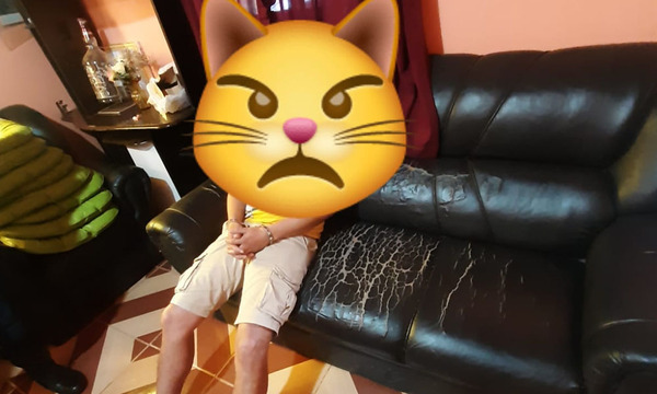 Presunto responsable de hurto fue detenido, pero Concejal Sanjosiano “llegó a un acuerdo” para dejarlo en libertad - OviedoPress