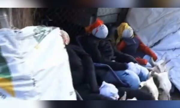 Polémica por Judas Kaí en el mercado 4: Funcionarios municipales quitaron nombres