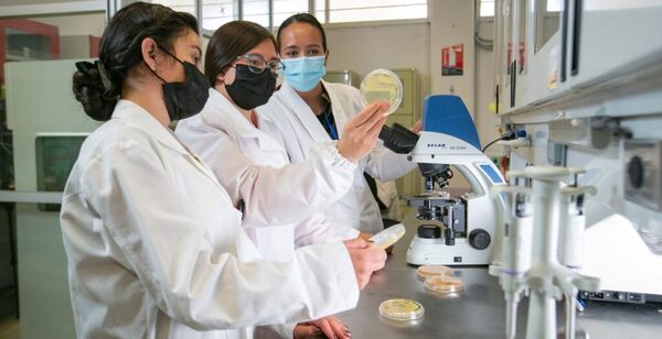 Extienden la fecha de postulación a la convocatoria de Financiamiento de Becas de Investigación