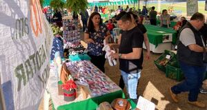 Productores vendieron en ferias por valor de G 676.156.000