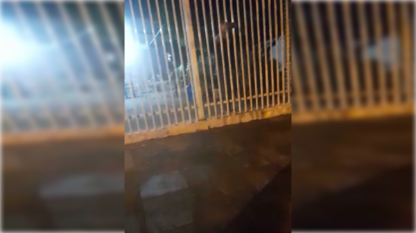 [VIDEO] Acusa a doña de manguerear su vehículo: "Fue algo lamentable, mojó todito mi vehículo"