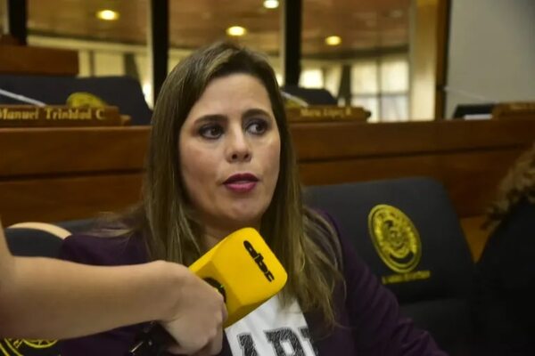 Diputados piden informes al IPS por megalicitación para lavado y planchado - Política - ABC Color