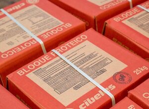 Bloques proteicos como complemento para épocas de menor calidad de forraje