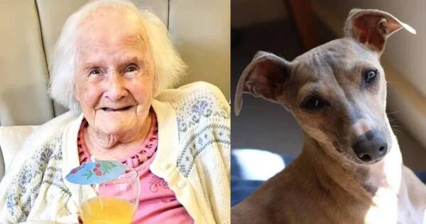 La Nación / El secreto de una mujer de 108 años para una larga vida: “tener perros, no hijos”