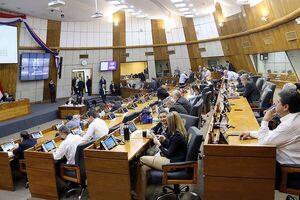 Diario HOY | Diputados sancionan contrato de préstamo internacional para el sector agropecuario