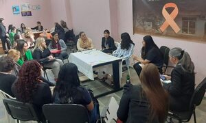 Articulan programa contra la violencia de género en Alto Paraná