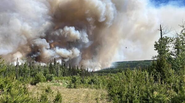 Biden ofrece a Trudeau apoyo total para combatir los incendios que devastan Canadá - Mundo - ABC Color