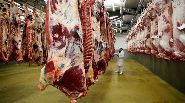 En lo que va del año Australia lleva exportado 20% más carne vacuna