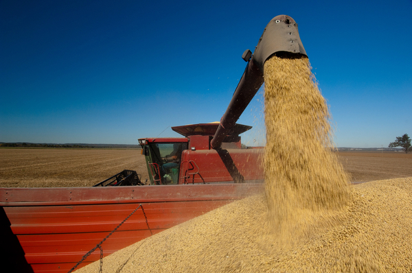 Piden no dejar de lado el modelo de redefinición de la matriz productiva