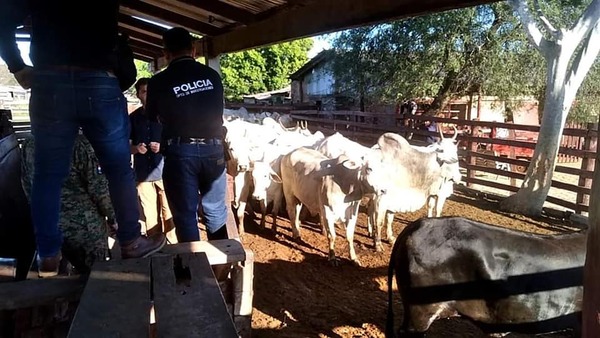 TRAS ASALTO A UNA ESTANCIA RECUPERAN ANIMALES VACUNOS EN UNA MATADERIA - La Voz del Norte
