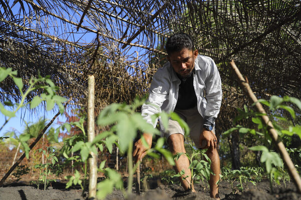 La Mosquitia: región hondureña que mitiga pobreza con agricultura sostenible y ancestral - MarketData