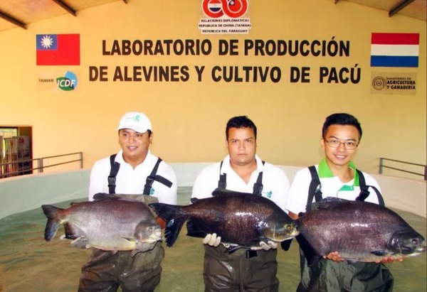 Tecnología de punta se triplicó producción de peces en Paraguay | Agronegocios | 5Días