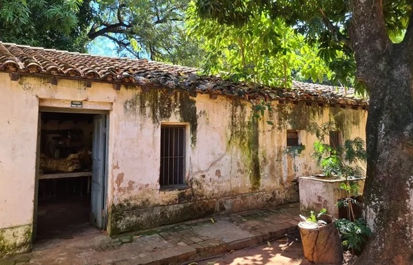 Presentan minuta para restaurar el abandonado Herbario Teodoro Rojas