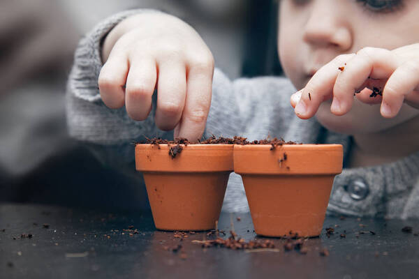 Diario HOY | Si tenés esta planta en tu casa, es mejor que la saques: Pediatra explica los motivos