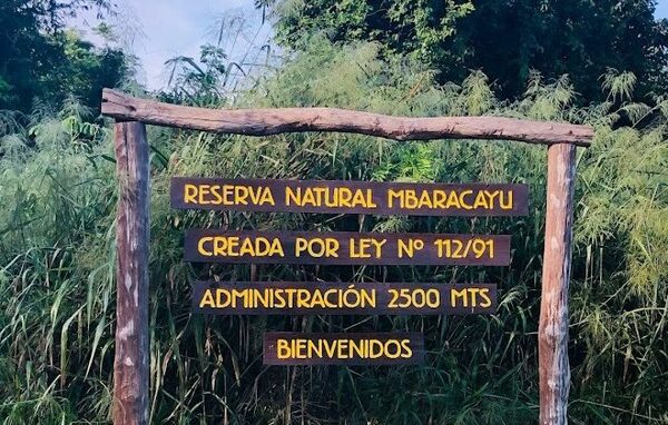 Diario HOY | Fiscal investiga doble homicidio en Reserva Mbaracayú
