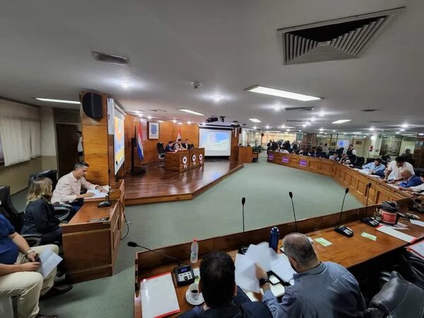 Estacionamiento tarifado: Vecinos contratan a empresa para estudio sobre zona Villa Morra y piden su exclusión - Nacionales - ABC Color