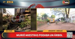 Hombre muere podando árbol en Areguá