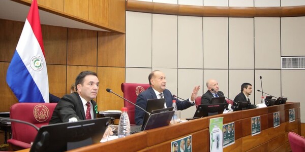 Senaduría vitalicia queda sin reglamento y proyecto de Marito quedó archivado - La Tribuna