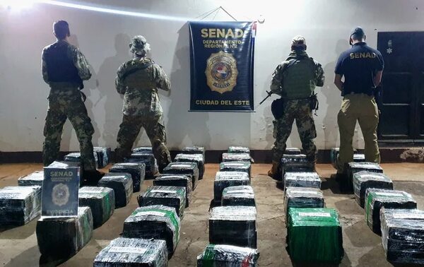 Incautan más de 700 kilos de marihuana en reserva de Itaipú - ABC en el Este - ABC Color