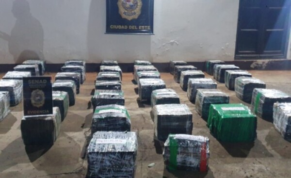 Incautan 708,5 kilos de marihuana prensada en reserva Pikyry